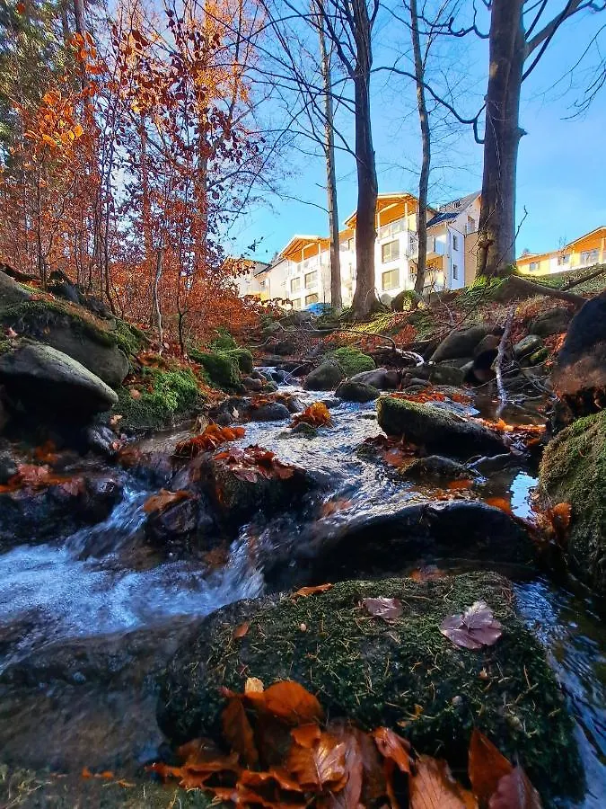 Apartamenty Nad Zlotym Potokiem شكلارسكا بوريبا شقة