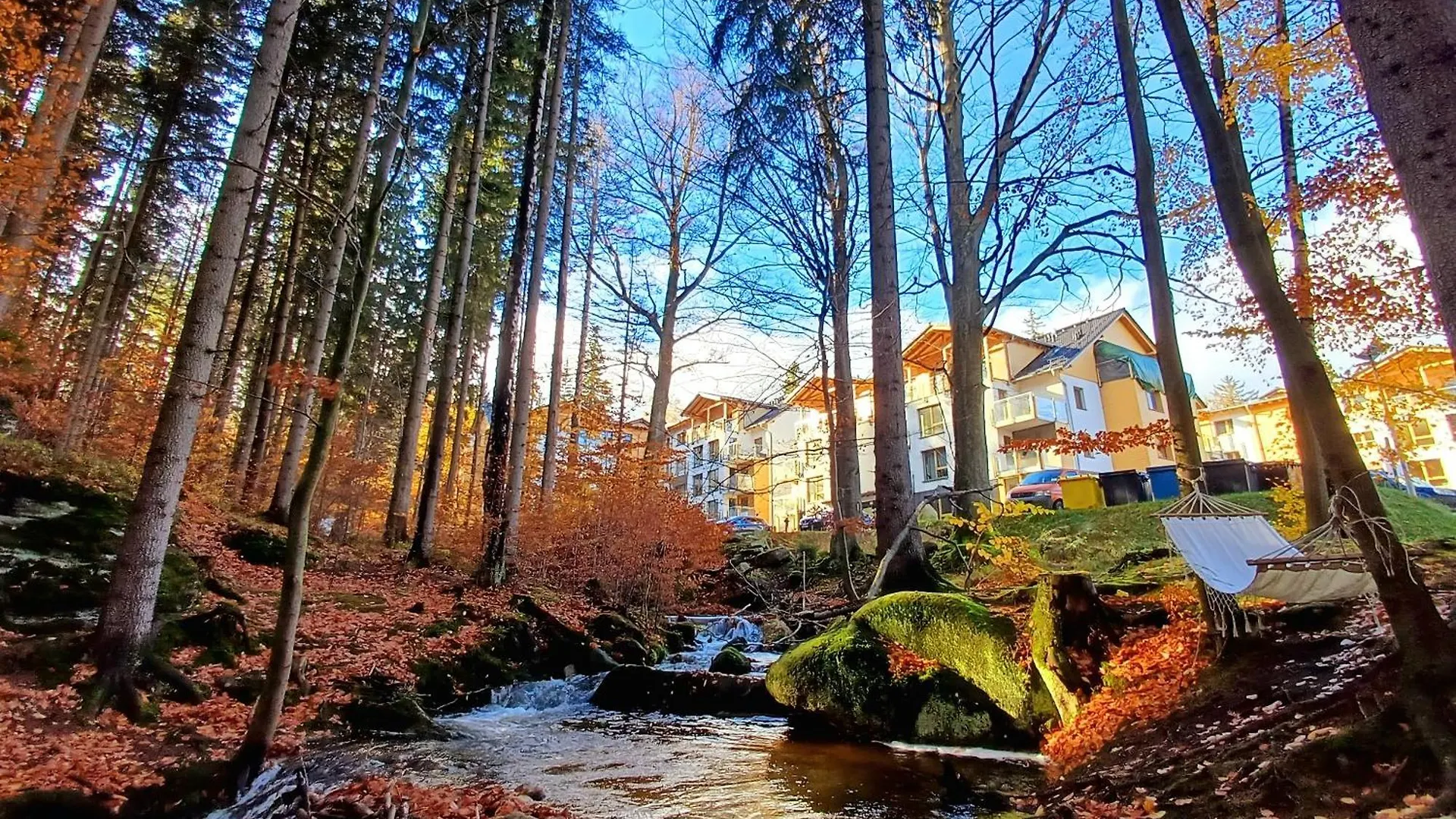 Apartamenty Nad Zlotym Potokiem شكلارسكا بوريبا بولندا